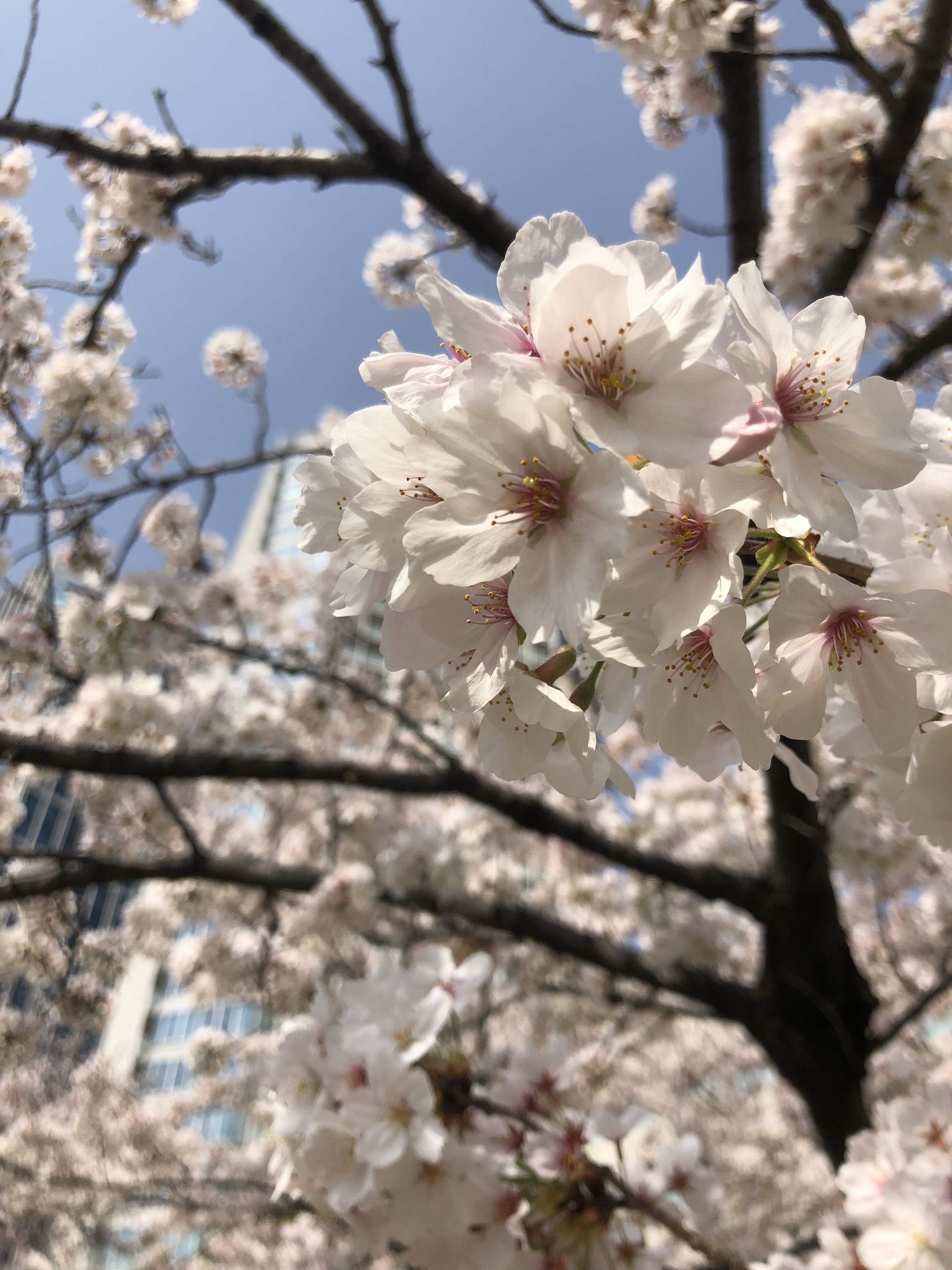 仕事に対してこんなはずじゃ無かったのにと思っている人へ